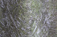 Corrimony fibreglass roof work