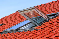 Corrimony roof window